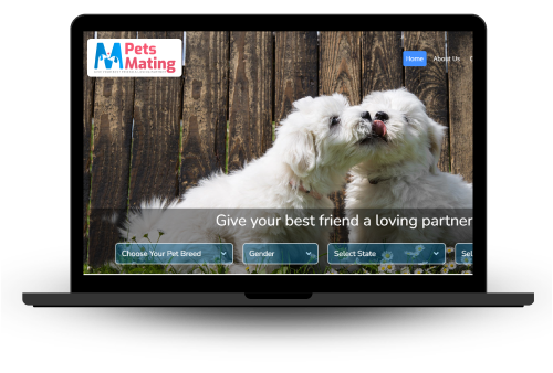 petsmating petsmating